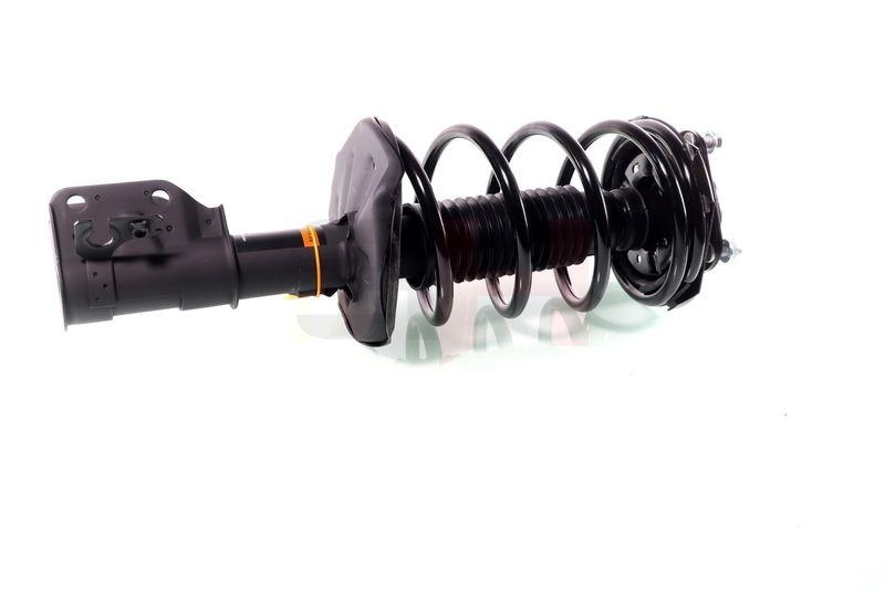 Komplett Sto&szlig;d&auml;mpfer Federbein Satz Vorne links rechts passend f&u...