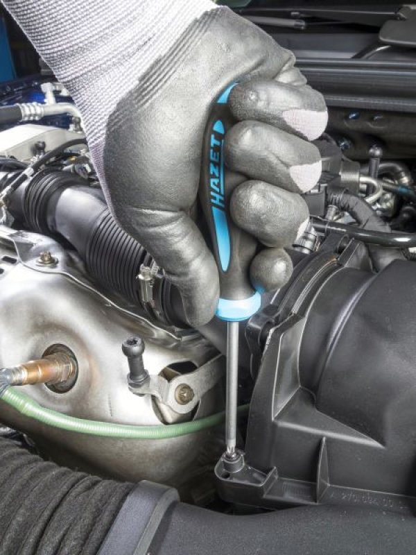 HAZET Screwdriver Set