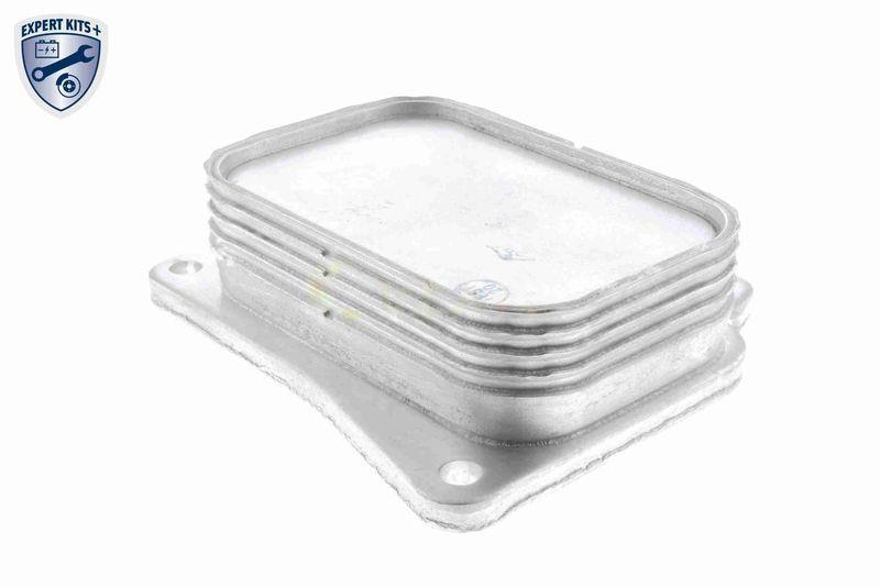 VEMO Ölkühler, Motoröl EXPERT KITS + V30-60-1313
