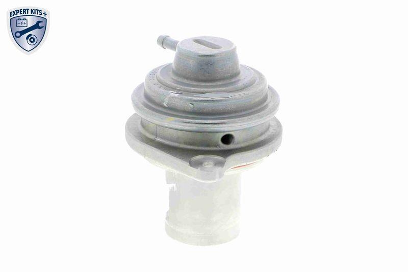VEMO AGR-Ventil EXPERT KITS + V30-63-0041