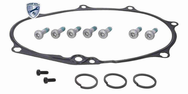 VAICO Reparatursatz, Nockenwellenverstellung EXPERT KITS +