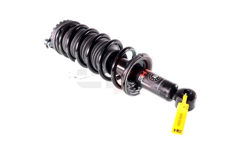 Komplett Sto&szlig;d&auml;mpfer Federbein Satz Hinten links rechts passend f&...