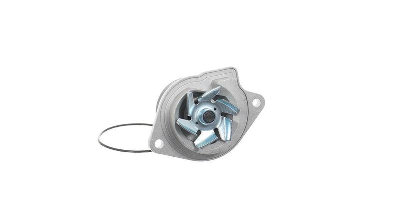 SKF Wasserpumpe, Motorkühlung VKPC 81215