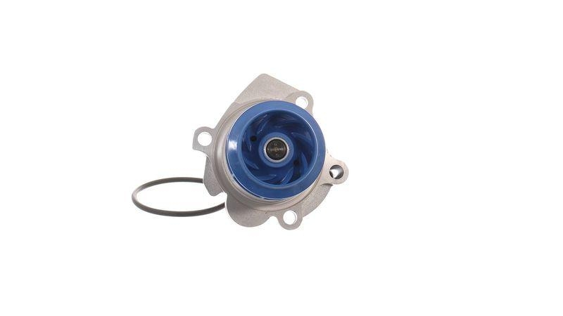 SKF Wasserpumpe, Motorkühlung VKPC 81302