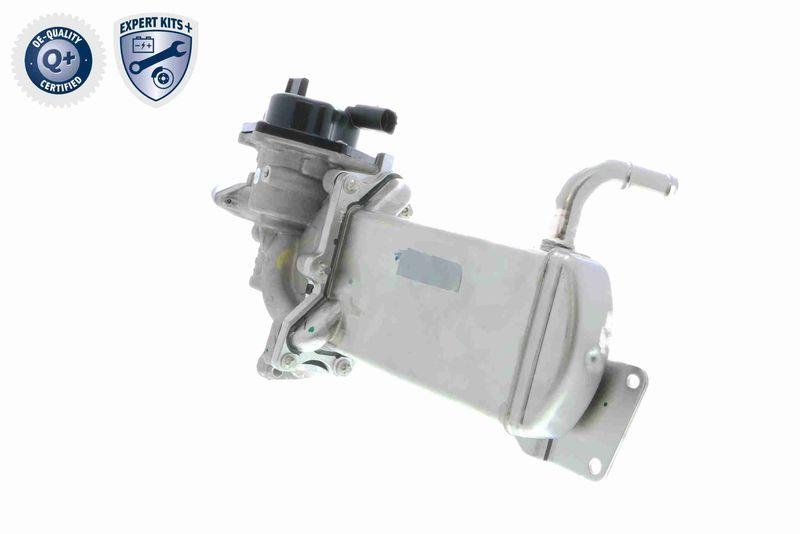 VEMO AGR-Ventil EXPERT KITS + V10-63-0047