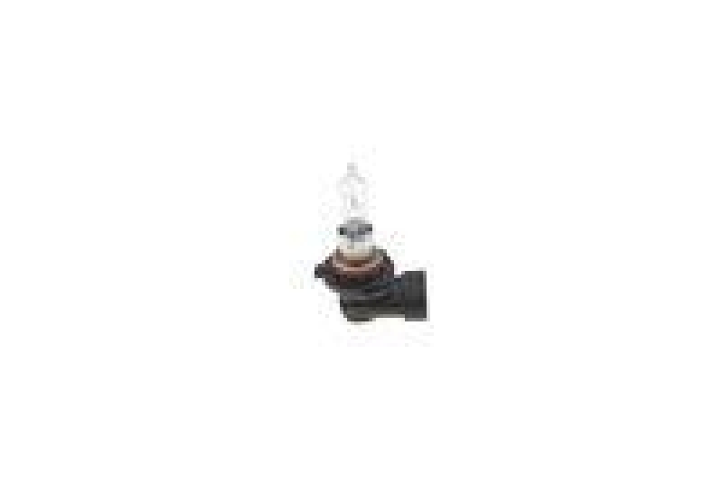 BOSCH Glühlampe, Fernscheinwerfer Plus 120 Gigalight BL