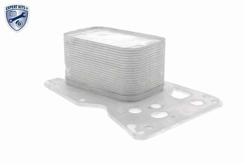 VEMO Ölkühler, Motoröl EXPERT KITS + V20-60-0076