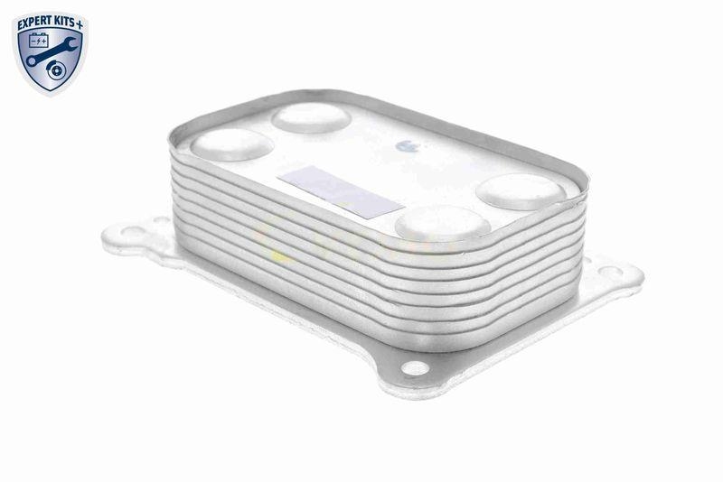 VEMO Ölkühler, Motoröl EXPERT KITS + V24-60-0020