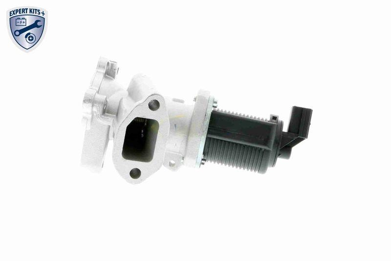 VEMO EGR Valve EXPERT KITS +