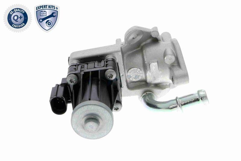 VEMO AGR-Ventil EXPERT KITS + V25-63-0019