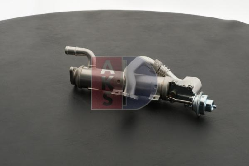AKS DASIS EGR Module