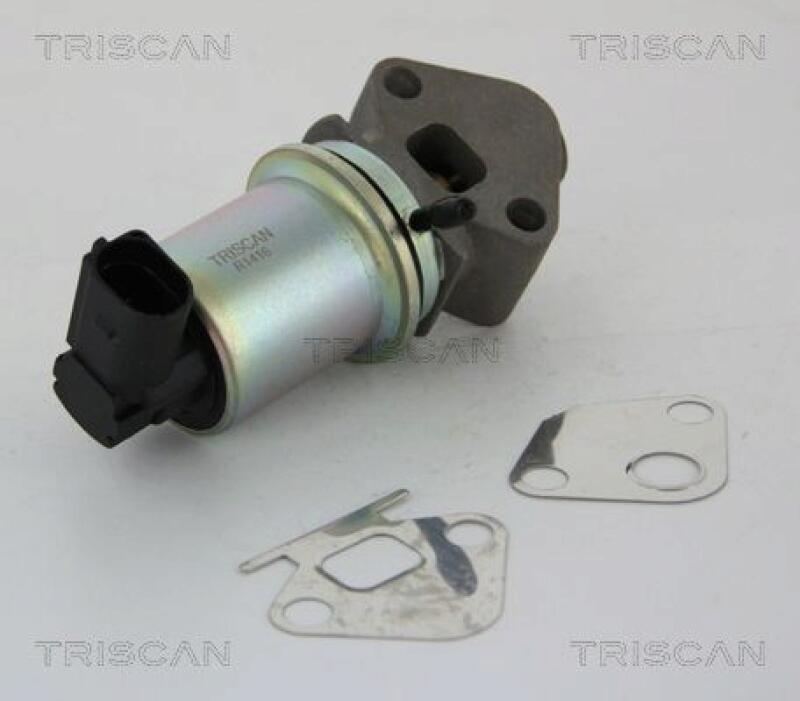 TRISCAN EGR Valve