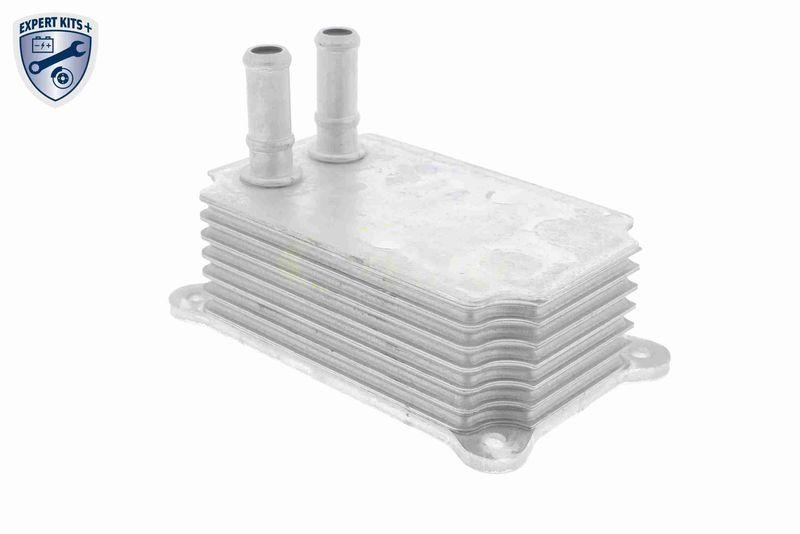 VEMO Ölkühler, Motoröl EXPERT KITS + V25-60-0033