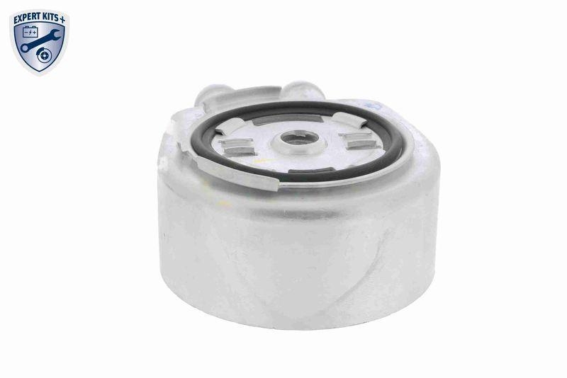 VEMO Ölkühler, Motoröl EXPERT KITS + V25-60-0034