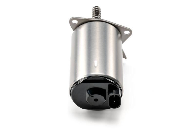 Stellelement, Exzenterwelle (variabler Ventilhub)