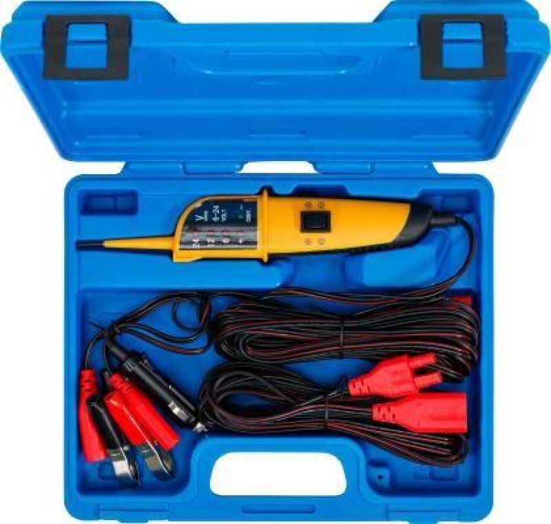 BGS Voltage Detector