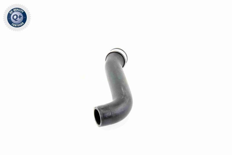 VAICO Charger Air Hose Q+, original equipment manufacturer quality