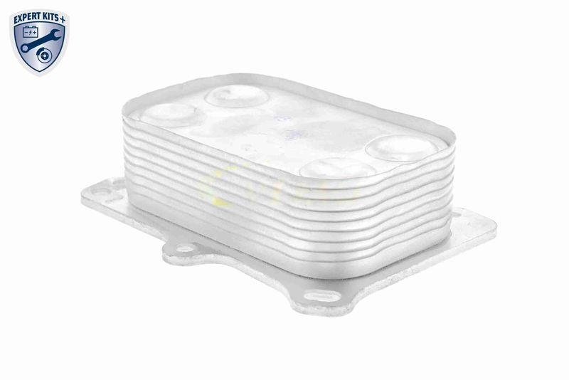 VEMO Ölkühler, Motoröl EXPERT KITS + V24-60-0014