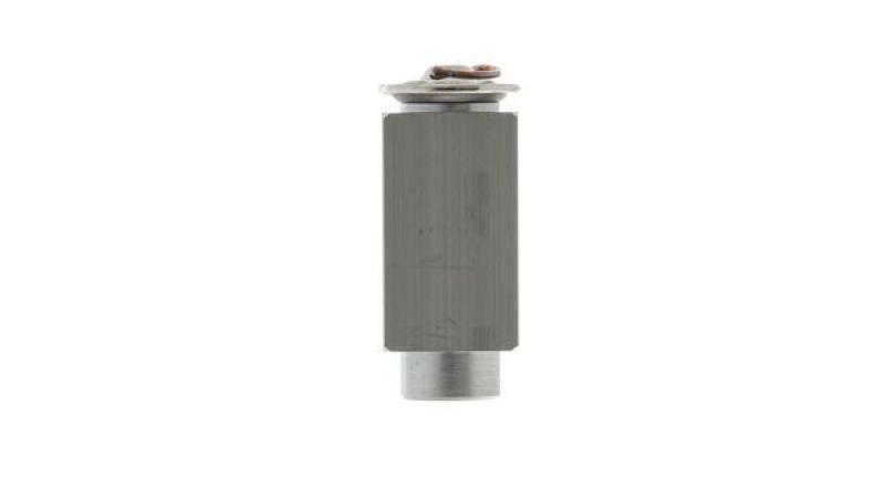 MAHLE Expansionsventil, Klimaanlage PREMIUM LINE AVE 98 000P