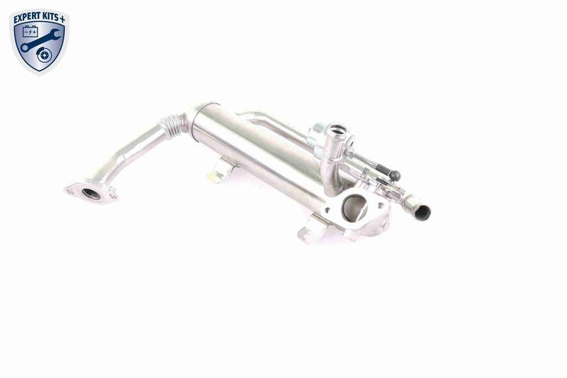 VEMO Kühler, Abgasrückführung EXPERT KITS + V10-63-0100