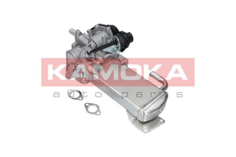 KAMOKA EGR Module