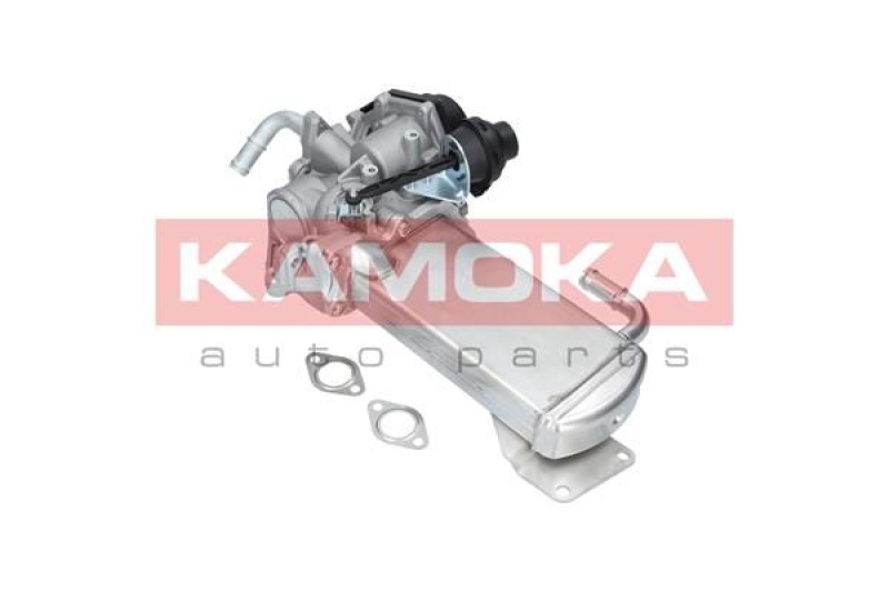 KAMOKA EGR Module