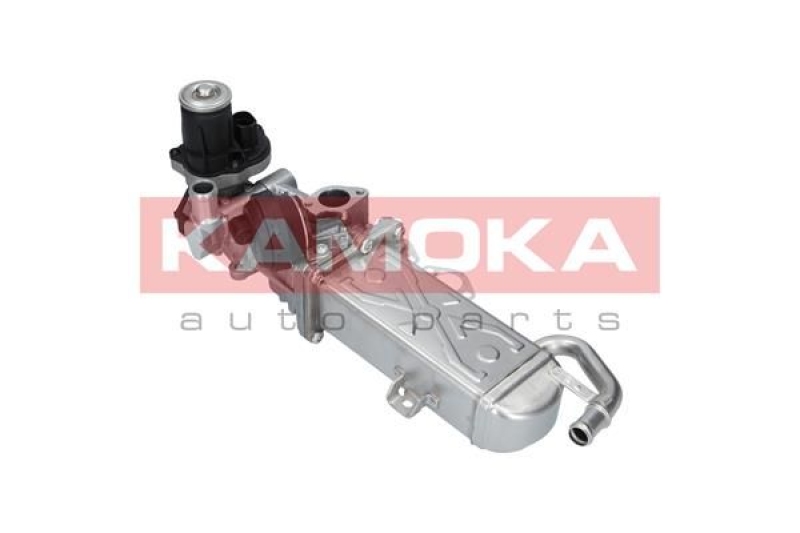 KAMOKA EGR Module