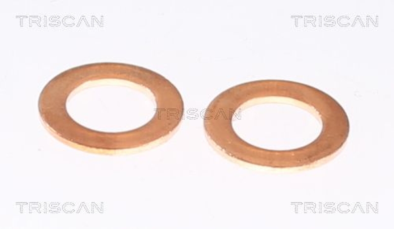 TRISCAN Bremsschlauch