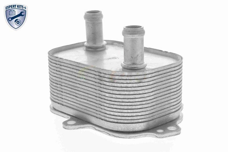VEMO Ölkühler, Motoröl EXPERT KITS + V15-60-6091