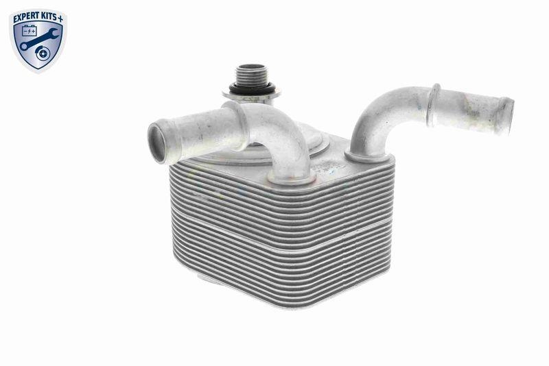 VEMO Ölkühler, Motoröl EXPERT KITS + V25-60-0049