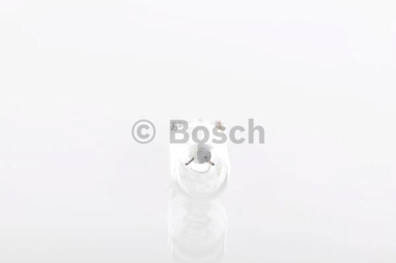 BOSCH Bulb, licence plate light Longlife Daytime BL