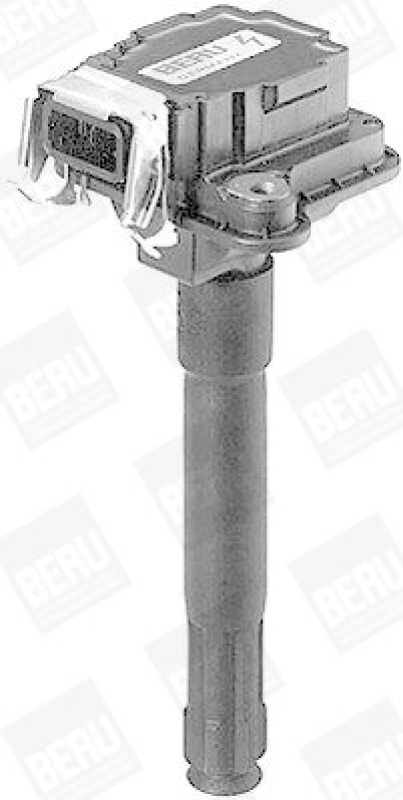 BorgWarner (BERU) Ignition Coil