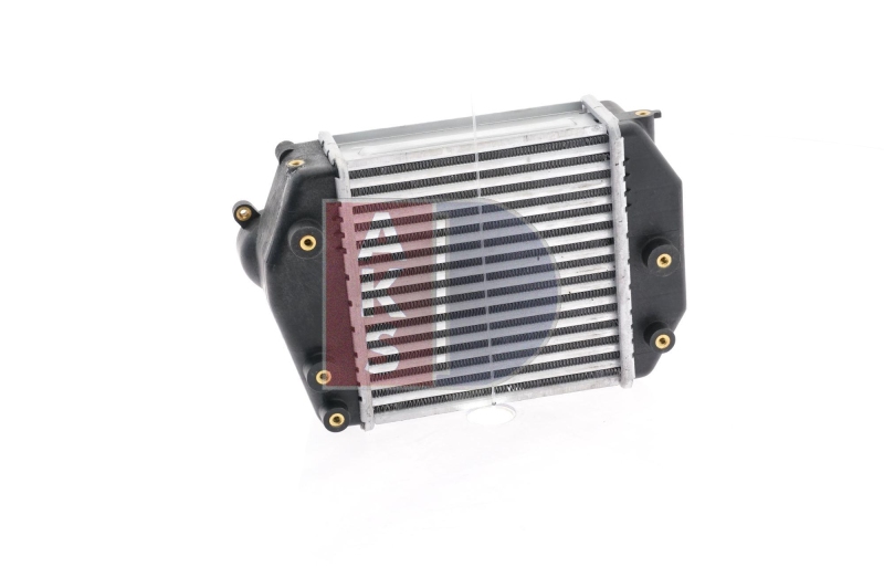 AKS DASIS Intercooler, charger