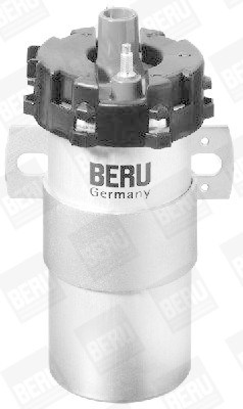 BorgWarner (BERU) Ignition Coil