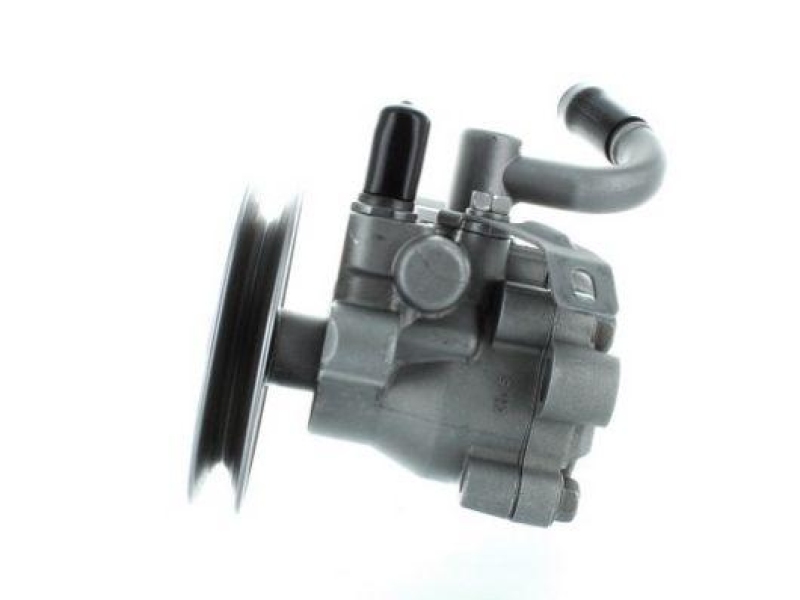 SPIDAN Hydraulikpumpe, Lenkung 54498