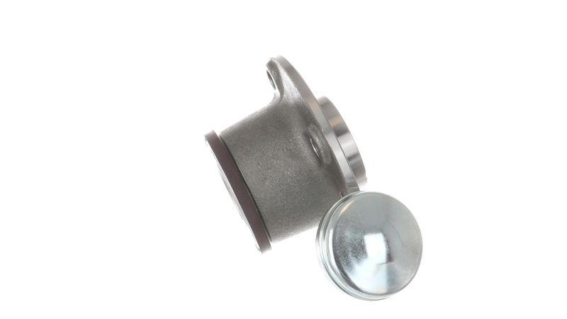 SKF Radlagersatz