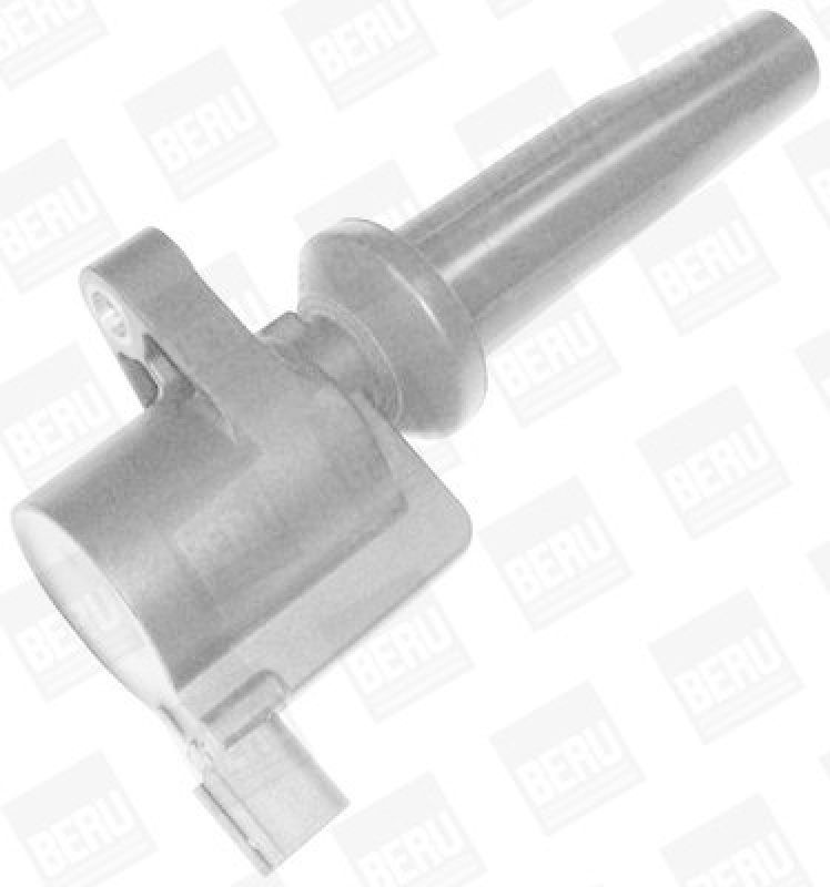 BorgWarner (BERU) Ignition Coil