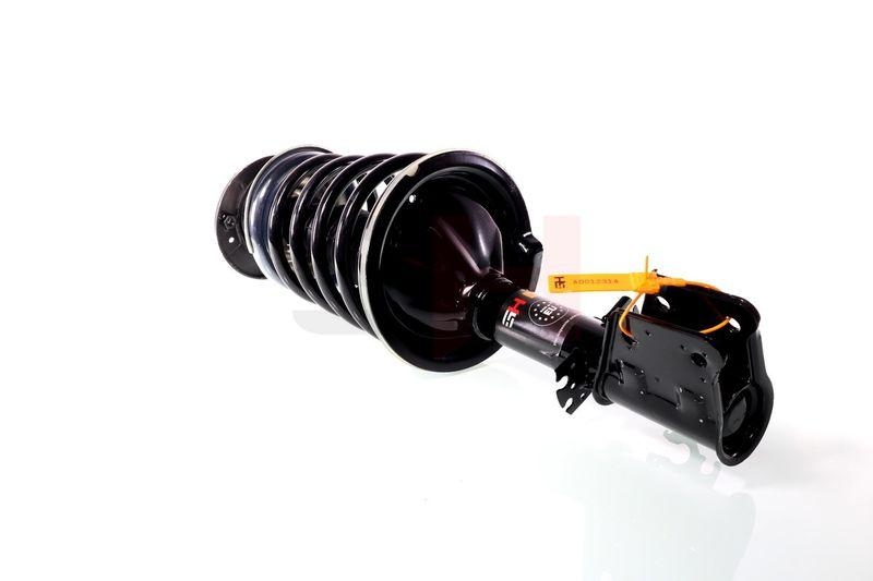 Komplett Sto&szlig;d&auml;mpfer Federbein Satz Vorne links rechts passend f&u...