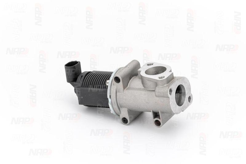 NAP carPARTS AGR-Ventil