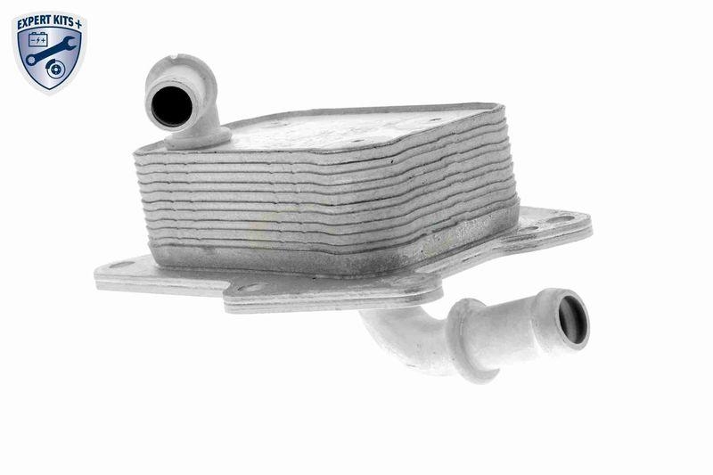 VEMO Ölkühler, Motoröl EXPERT KITS + V30-60-1341