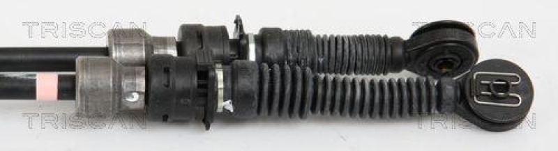 TRISCAN Cable, manual transmission