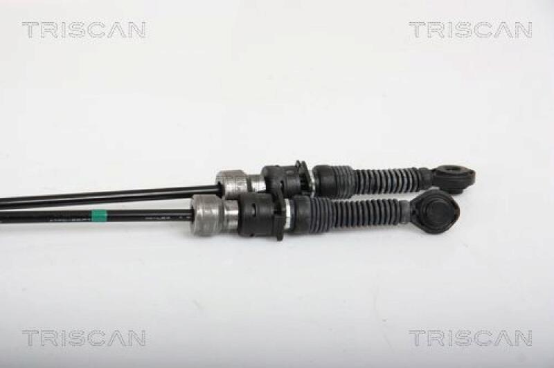 TRISCAN Cable, manual transmission