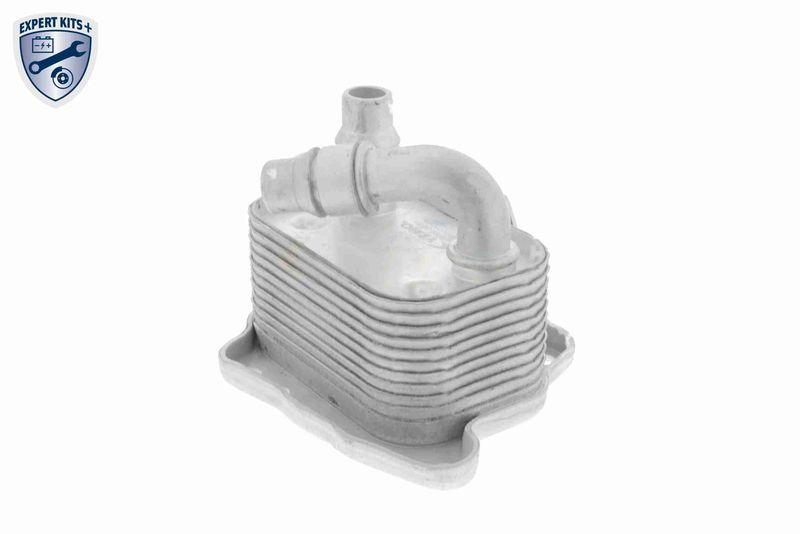 VEMO Ölkühler, Motoröl EXPERT KITS + V20-60-0031