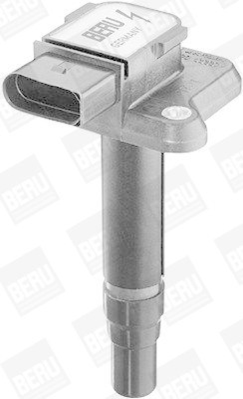 BorgWarner (BERU) Ignition Coil