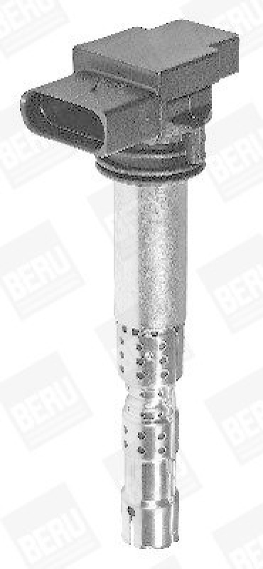 BorgWarner (BERU) Ignition Coil