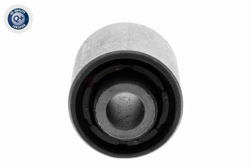 VAICO Retaining Spring Original VAICO Quality