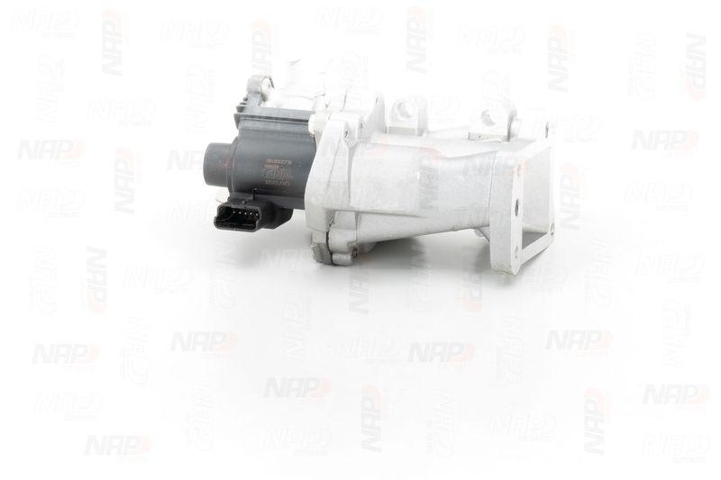 NAP carPARTS AGR-Ventil