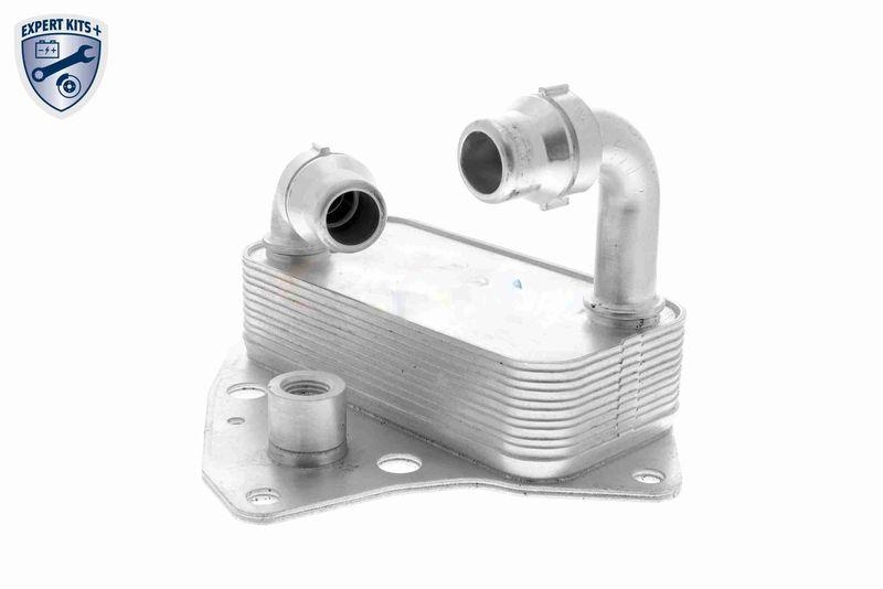 VEMO Ölkühler, Motoröl EXPERT KITS + V24-60-0051