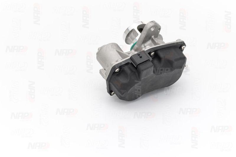 NAP carPARTS AGR-Ventil