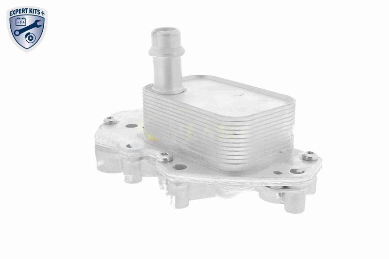 VEMO Ölkühler, Motoröl EXPERT KITS + V40-60-2102